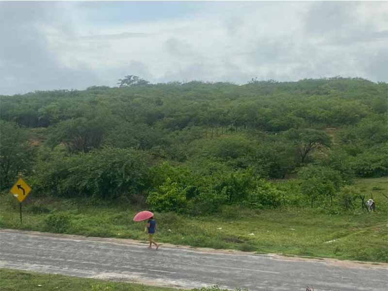 Fim de janeiro deverá apresentar condições para chuvas isoladas em todas as macrorregiões; veja detalhes