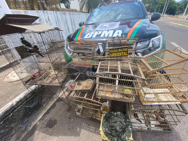 Caçador é preso em flagrante por tráfico de animais silvestres no Crato