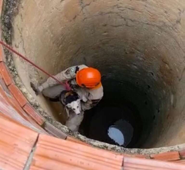 Corpo de Bombeiros resgata cão de cacimba em Itapipoca