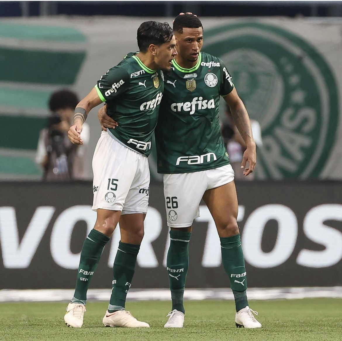 Após bater na trave, Palmeiras busca primeiro título invicto no Paulista em mais de 50 anos