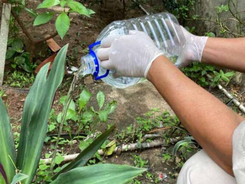 Ceará apresenta redução de casos de dengue, chikungunya e zika; prevenção deve ser reforçada no período pós-chuvas