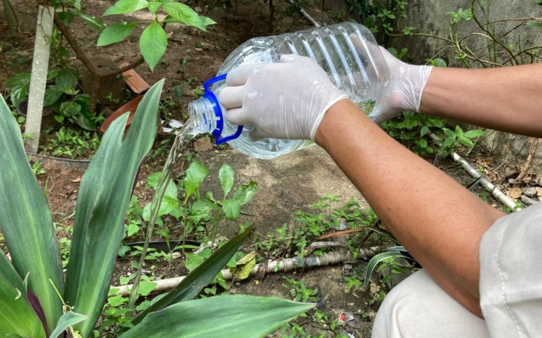 Dengue: a importância de estratégias integradas de prevenção e controle ‌