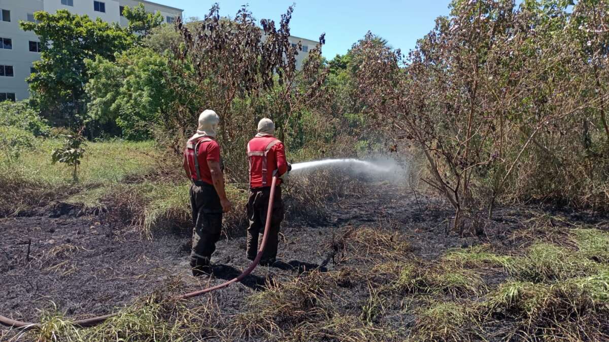 Corpo de Bombeiros do Ceará apagou 1.193 incêndios em vegetação em 2023