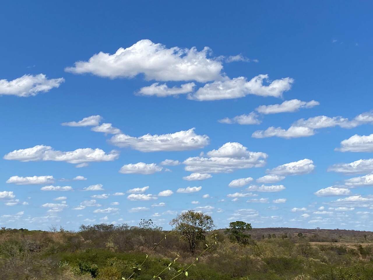 Semana segue com condições estáveis, máximas até 38°C e rajadas de cerca de 50 km/h