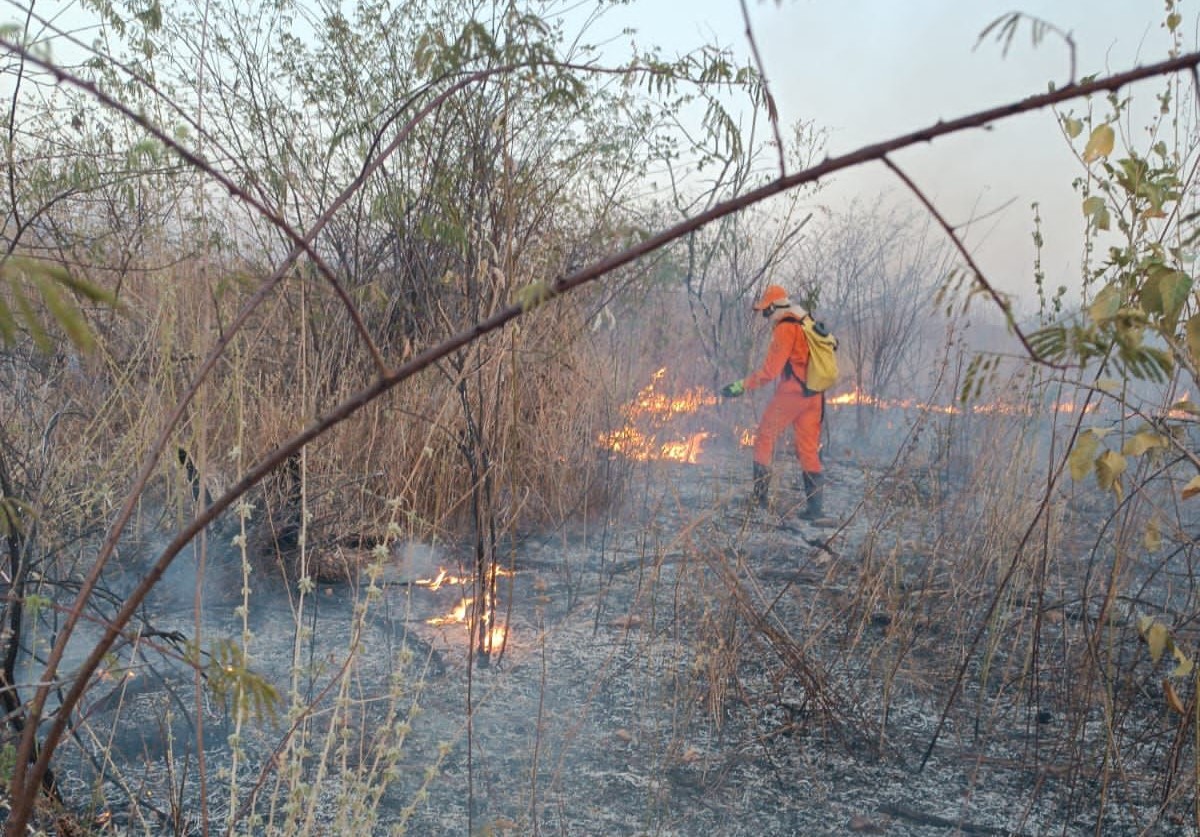 2.361 incêndios em vegetação foram apagados em 2023 pelo Corpo de Bombeiros no Ceará