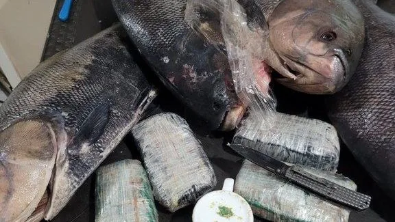 PF apreende cocaína dentro de peixes congelados no Amazonas.