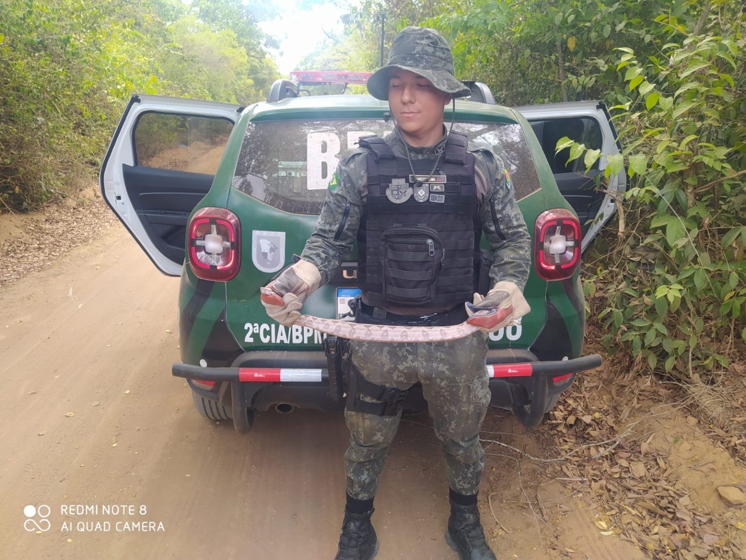 Jiboia é encontrada em posto de combustível desativado de Barbalha