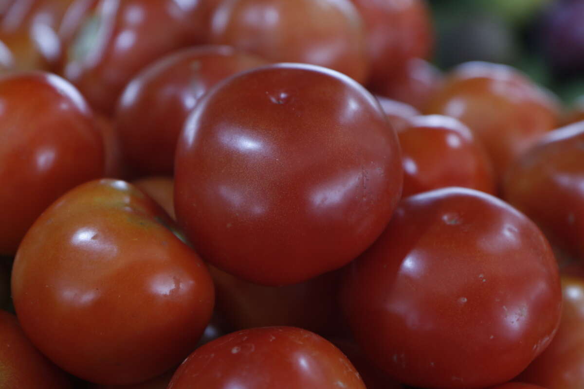 Preço do tomate registra queda de 45% na Ceasa Cariri