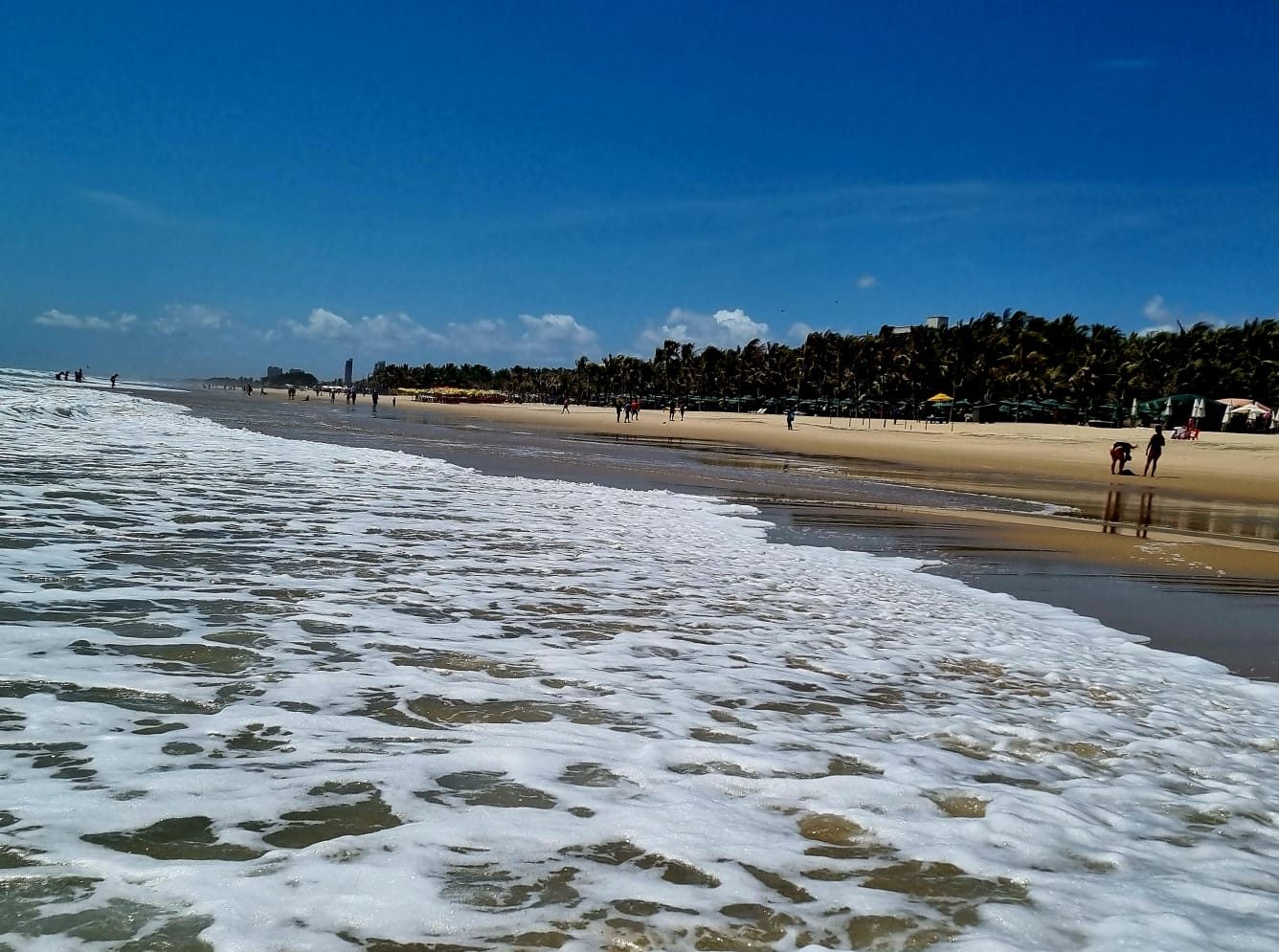 23 trechos estão próprios para banho neste fim de semana em Fortaleza -  Governo do Estado do Ceará