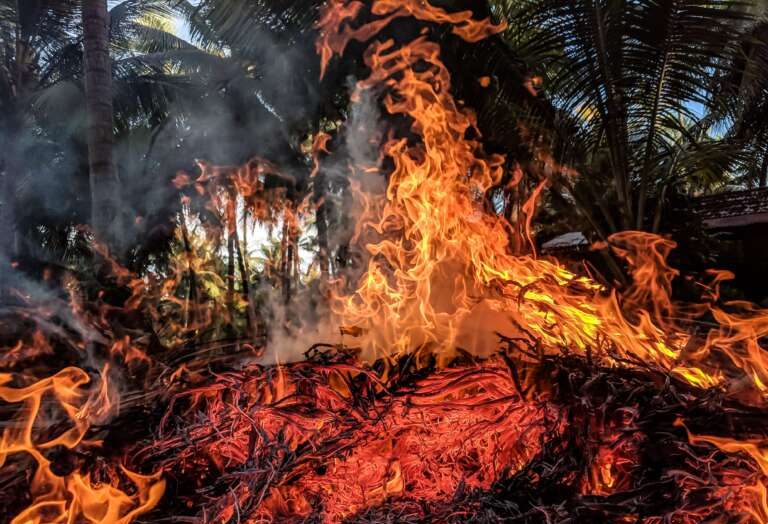 Ceará tem 3º outubro com maior número de focos de calor