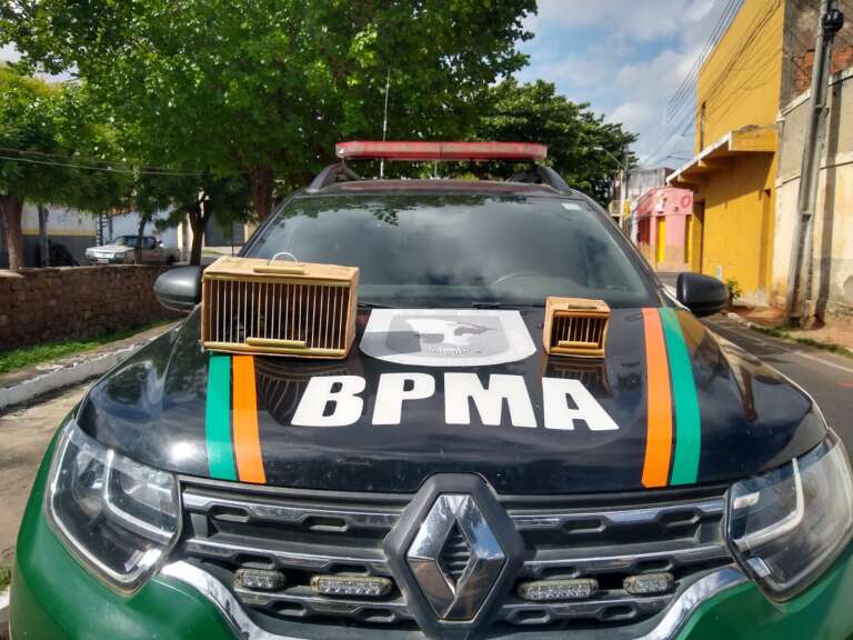 Polícia de Meio Ambiente resgata pássaros silvestres em Juazeiro do Norte