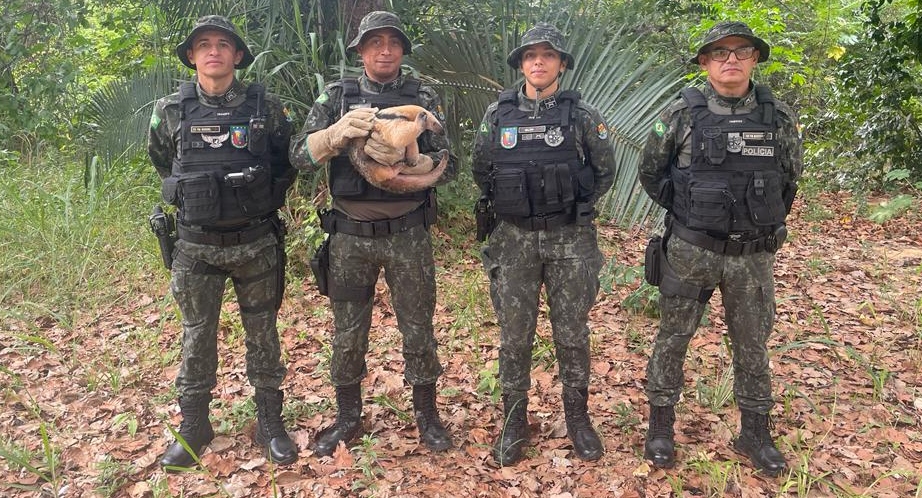 Polícia de Meio Ambiente apresenta balanço de 2023