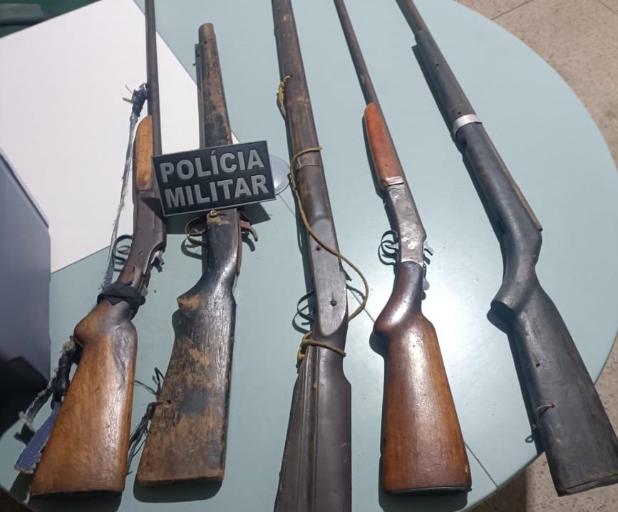 Polícia Militar apreende cinco armas de fogo em Caririaçu