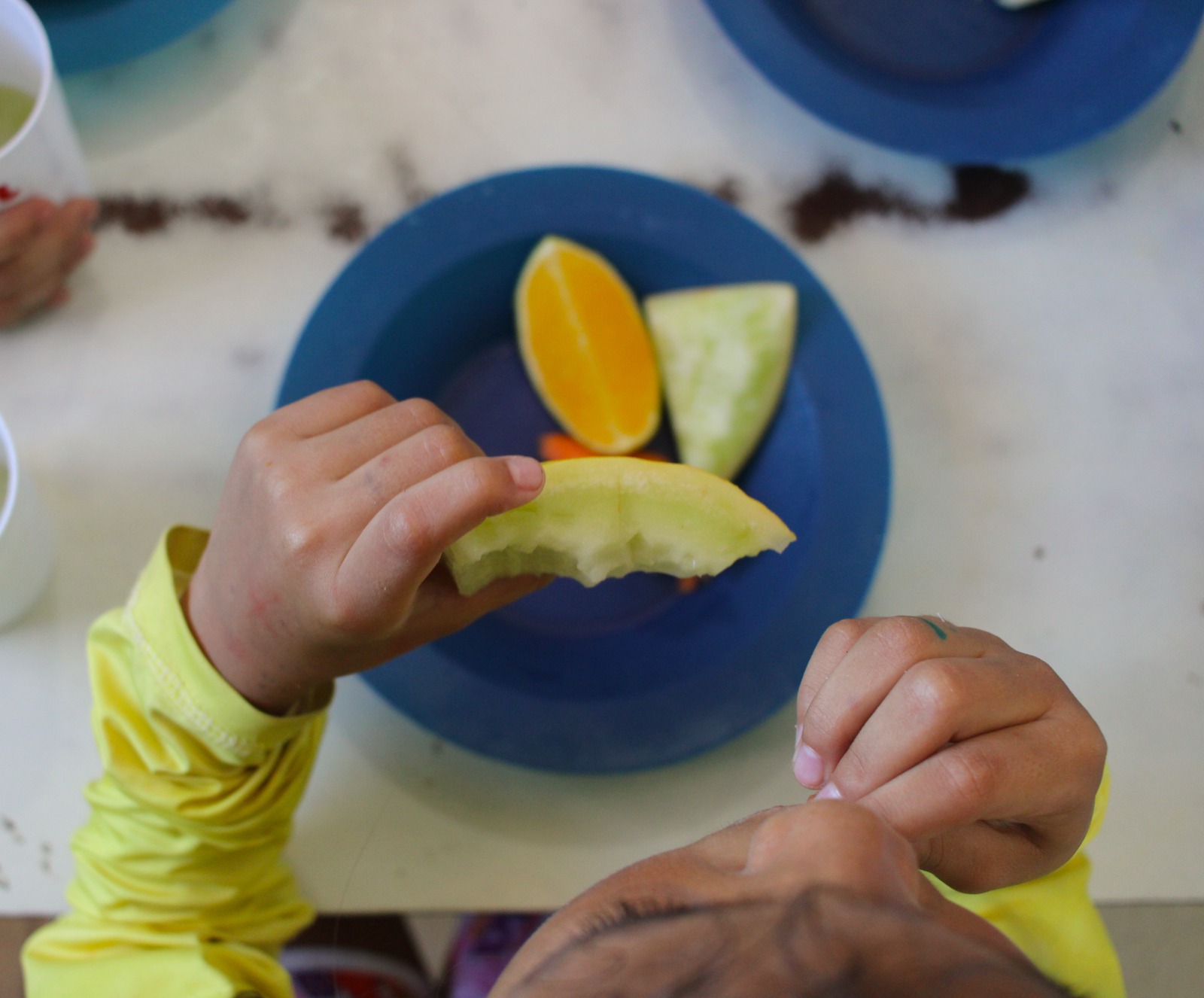 55 municípios no Ceará já aderiram ao Sistema Nacional de Segurança Alimentar e Nutricional