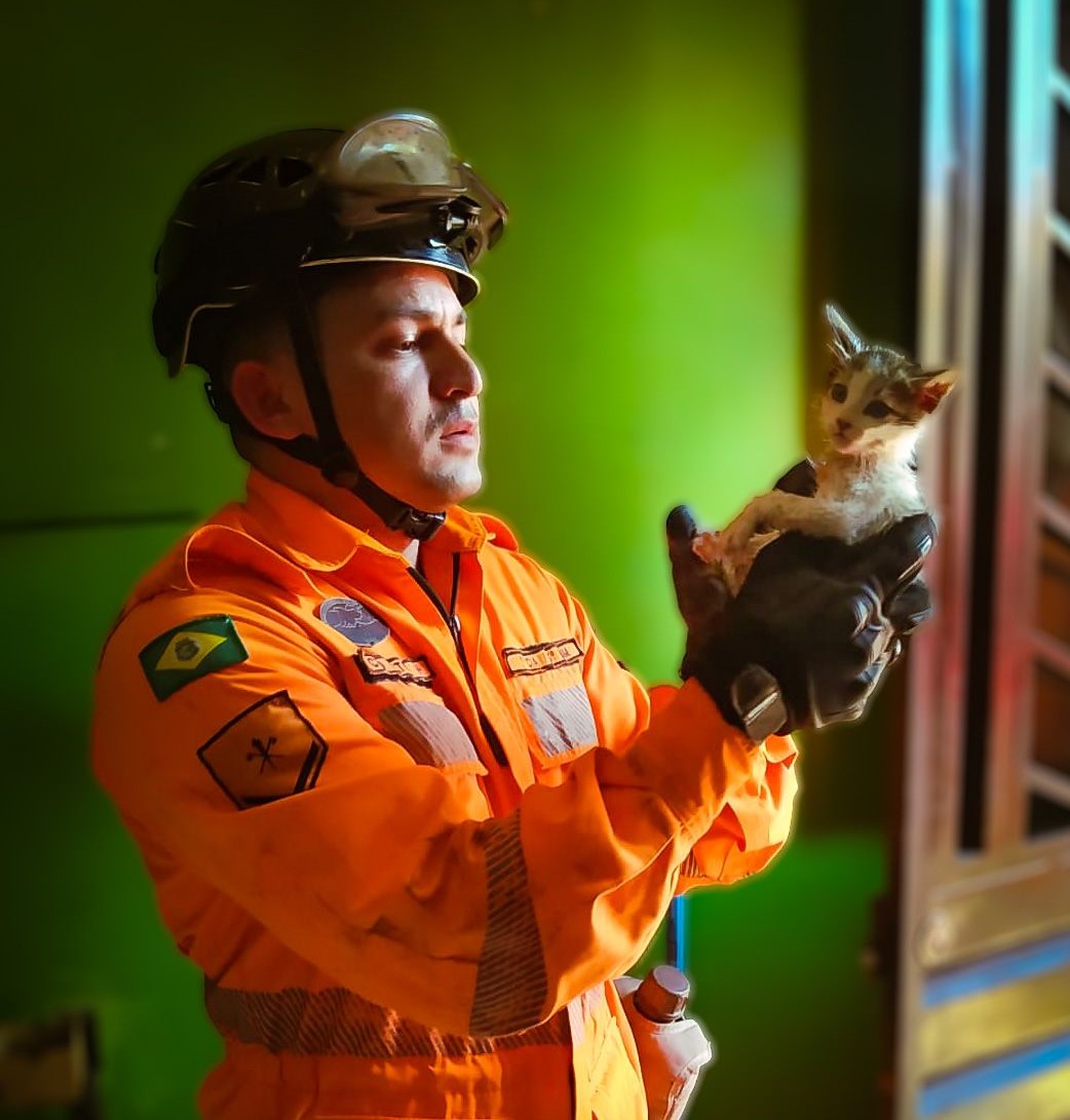 Corpo de Bombeiros do Ceará resgata mais de 4 mil animais no 1º quadrimestre deste ano