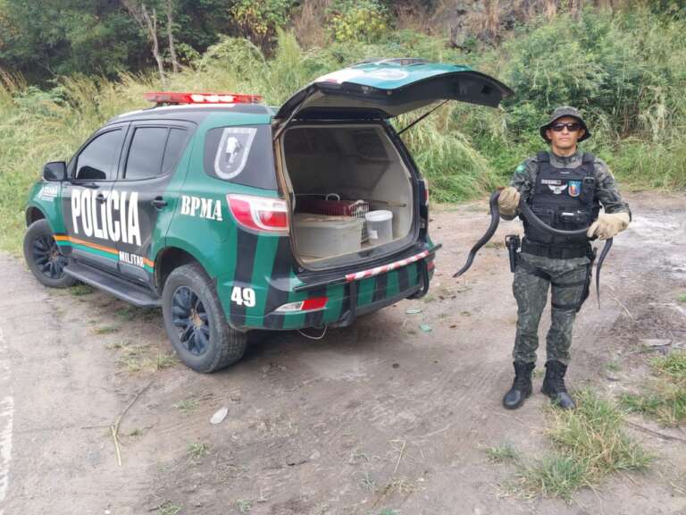 Polícia resgata capivara e cobra em Maracanaú e Juazeiro do Norte