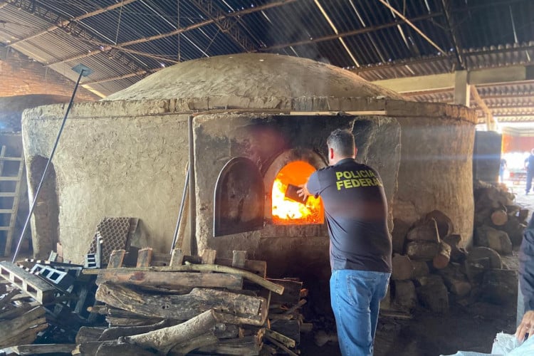 Mais de 1,3 tonelada de drogas apreendida no Ceará é incinerada pela Polícia Federal