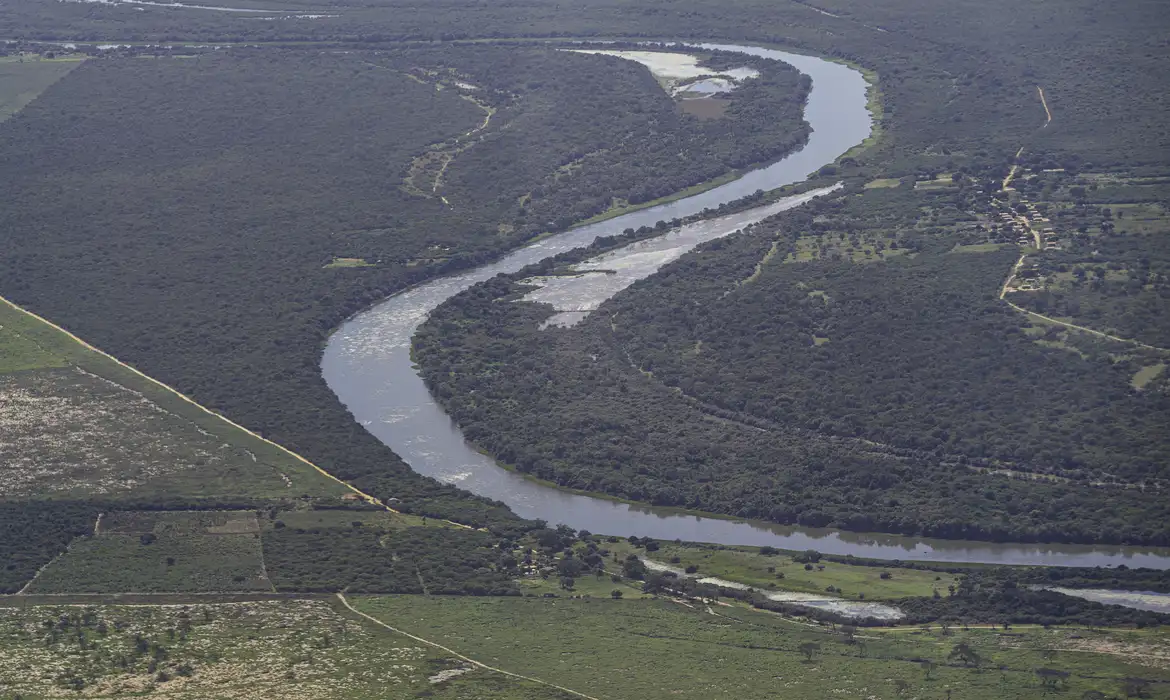 Maior parte da Mata Atlântica tem menos de 30% de vegetação nativa