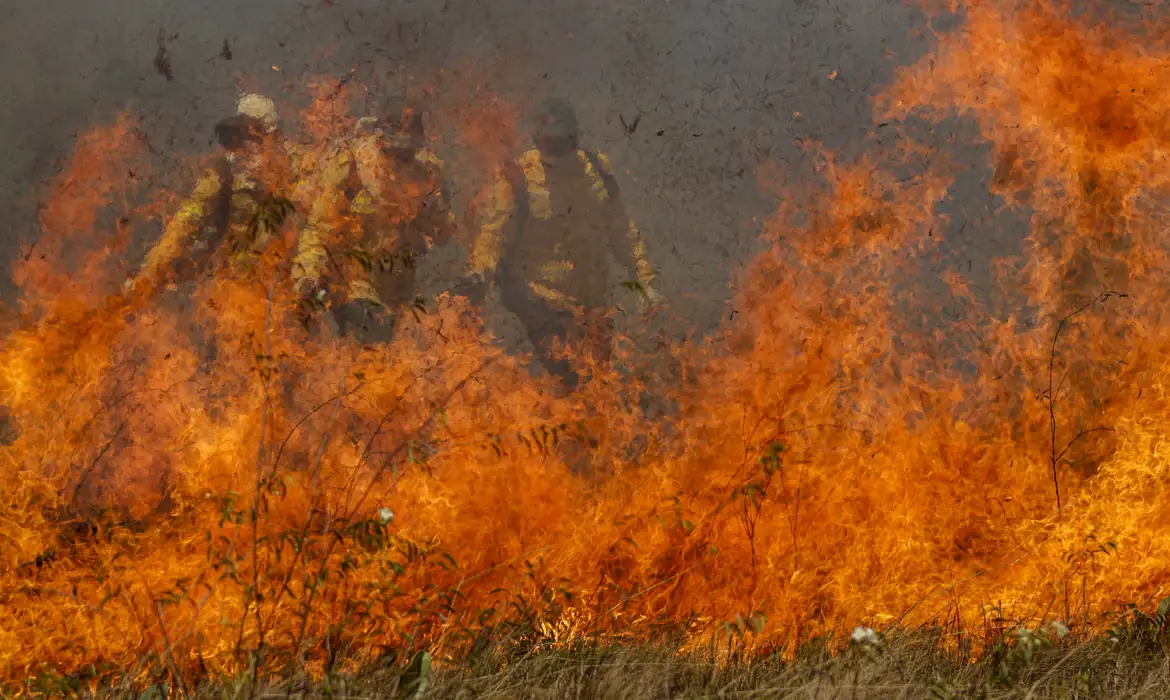 Todos os biomas do Brasil registram focos de incêndios nesta sexta