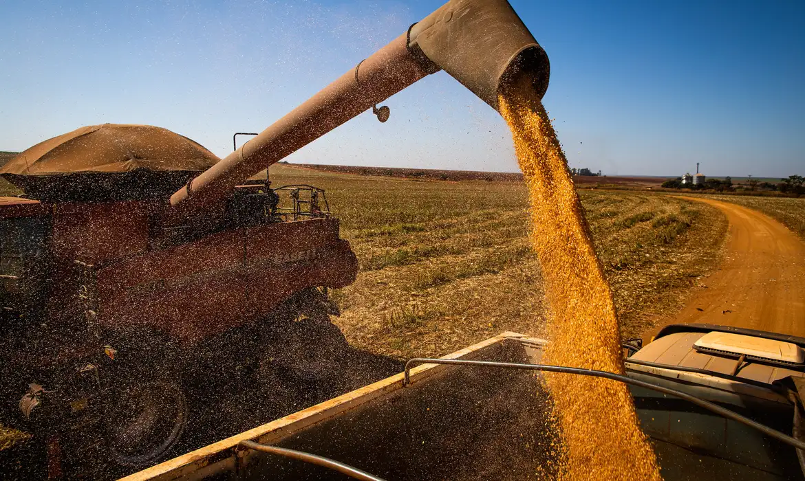 Após seis anos em alta, valor da produção agrícola cai 2,3% em 2023