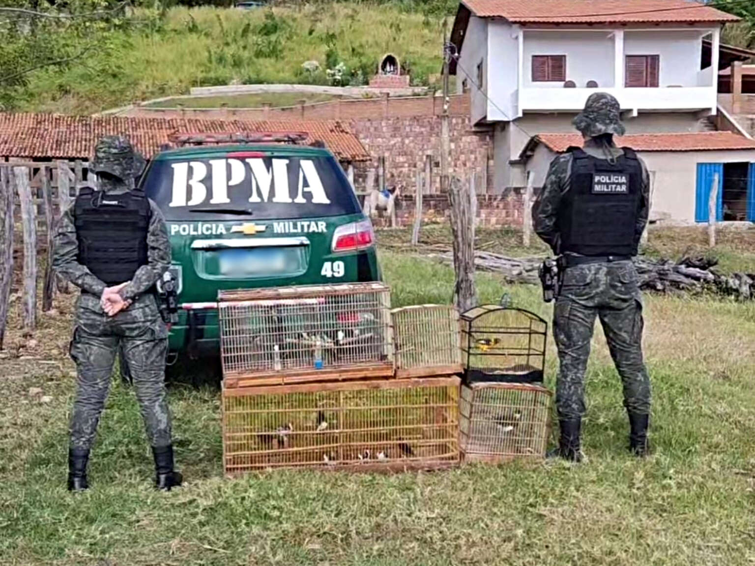 BPMA solta aves recuperadas em operações de combate ao tráfico e ao comércio ilegal de animais no Cariri