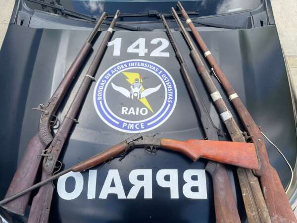 Polícia apreende seis armas durante ação em Campos Sales