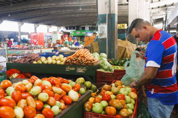 Tomate cajá registra queda de 53,8% em seu preço na Ceasa Cariri
