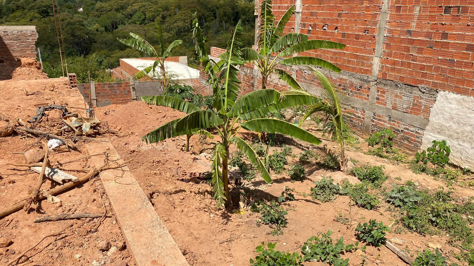 Professor denuncia golpe que teria sido aplicado por construtora nas obras de um terreno do bairro Granjeiro, em Crato