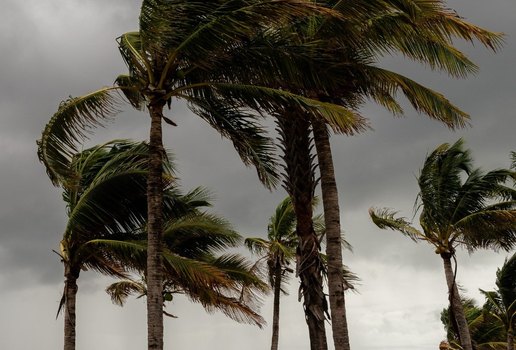 Temporada de ventos fortes deve ter vendavais em 152 cidades do Ceará, alerta Inmet