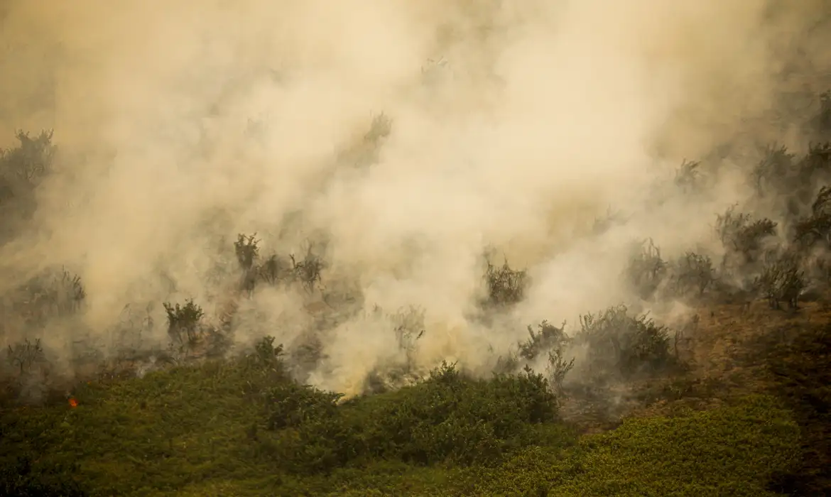 Brasil perdeu ‘uma Paraíba’ em queimadas só em agosto, diz MapBiomas