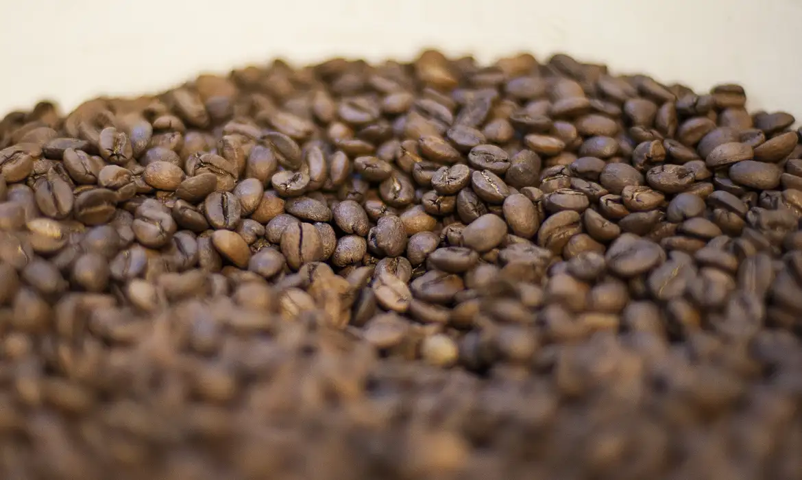 Entenda o que pode tornar o café torrado impróprio para consumo