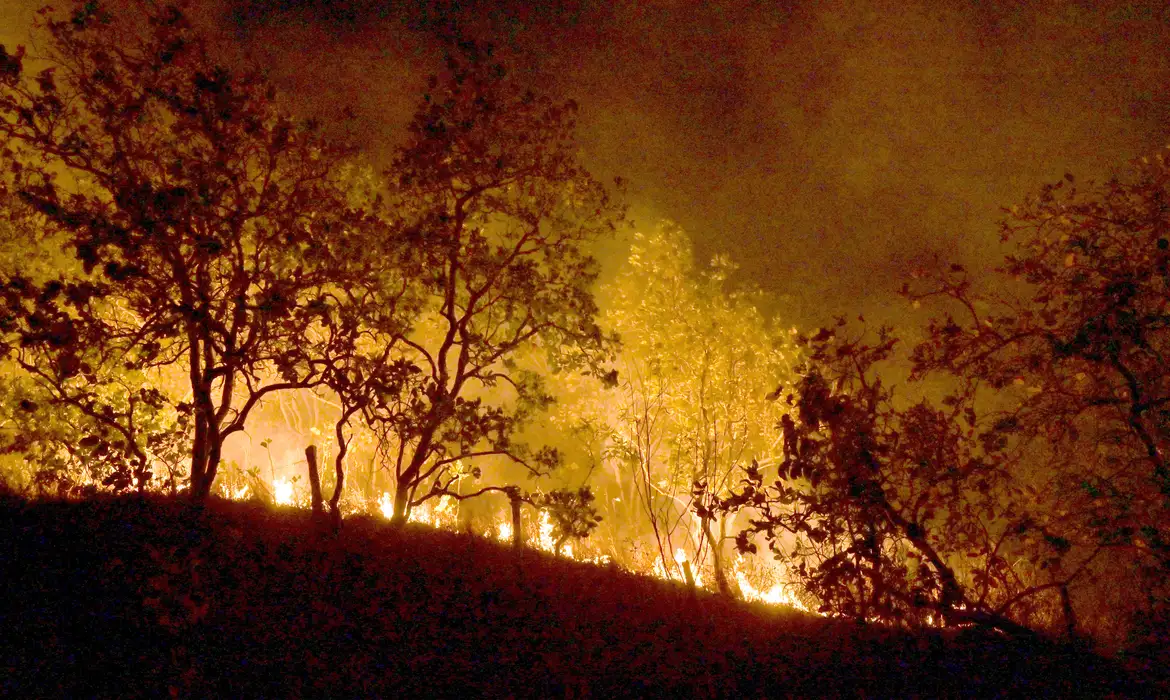 Monitoramento mostra que 99% dos incêndios no país são por ação humana