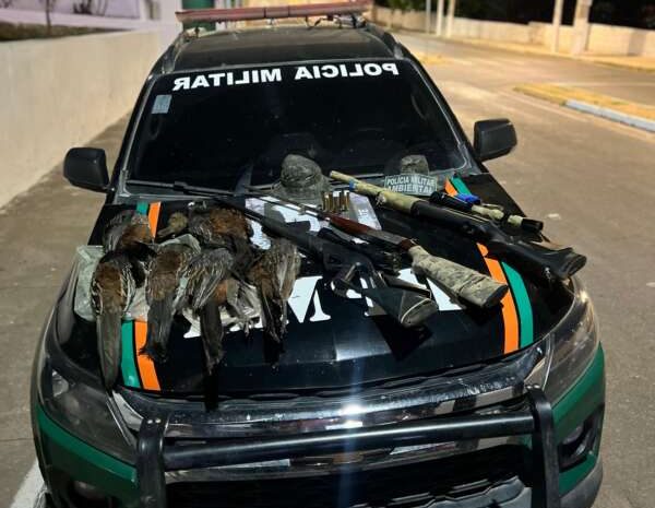 Polícia captura trio e apreende armas e aves ameaçadas de extinção em Santana do Cariri