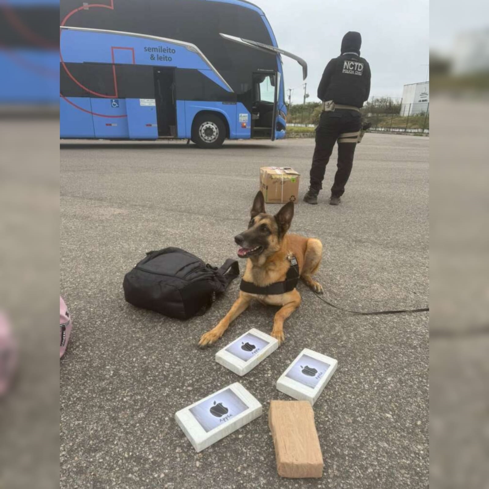 Mulher que vinha de Goiânia em posse de 4kg de drogas é presa durante ação conjunta no Cariri