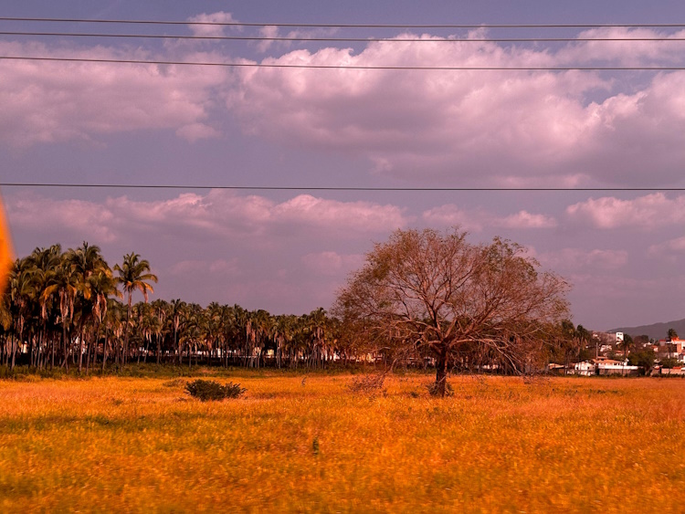 Agosto finaliza com previsão de picos de 38ºC e ventos de até 65 km/h no Ceará; veja detalhes