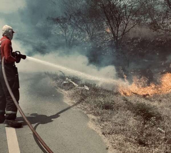 Corpo de Bombeiros do Ceará apaga mais de 2 mil incêndios em vegetações entre janeiro e agosto