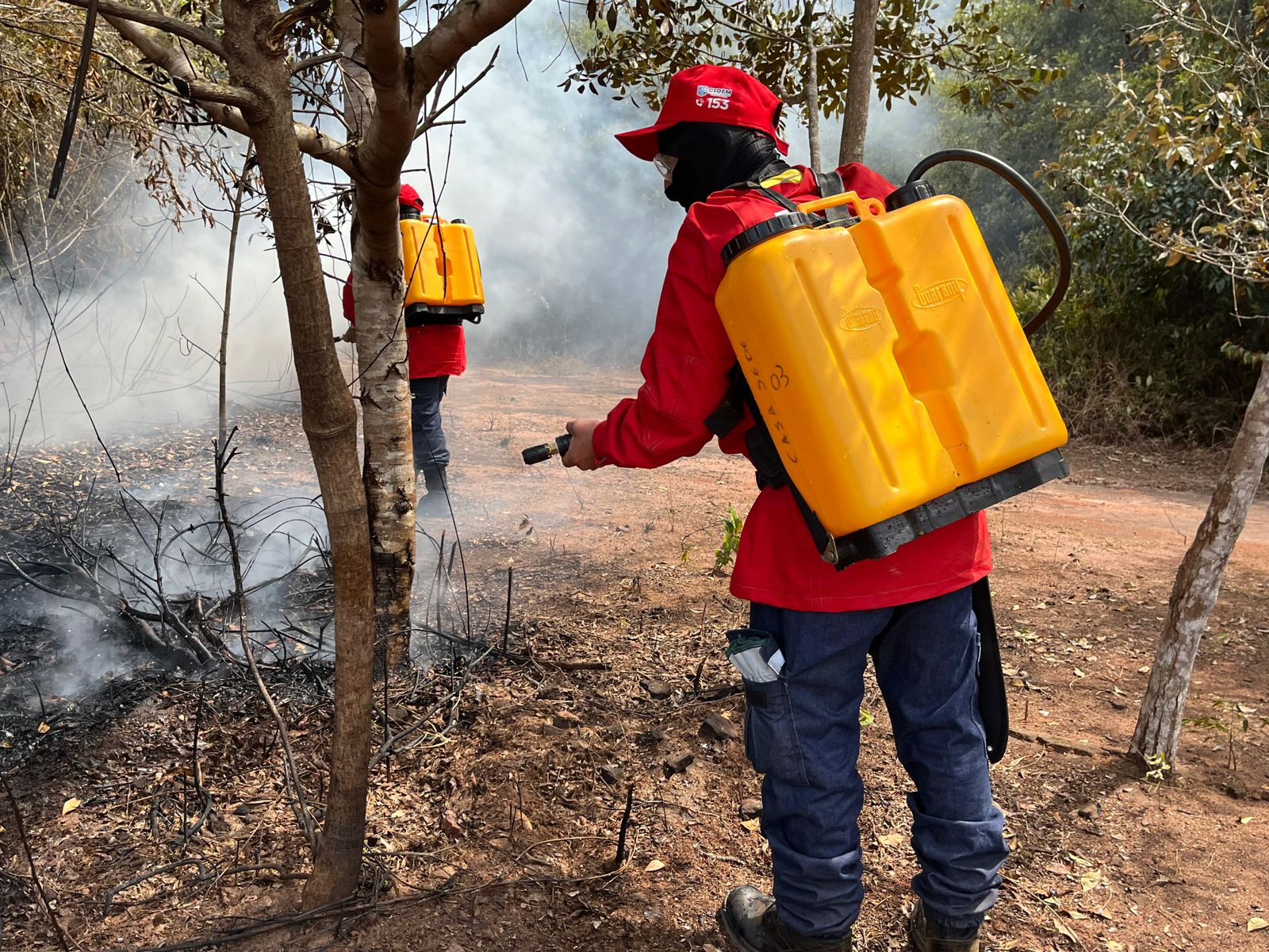 Brigada do Crato combate incêndio em cenário simulado na Chapada do Araripe