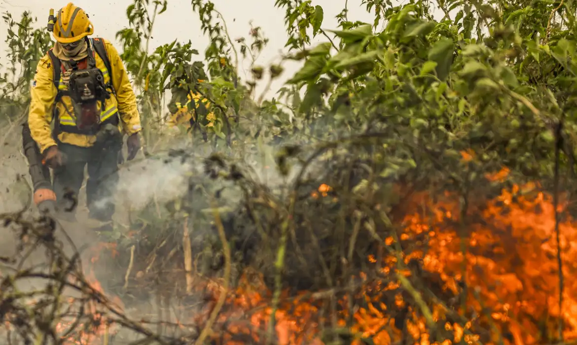 Brasil já registou mais de 154 mil focos de calor este ano