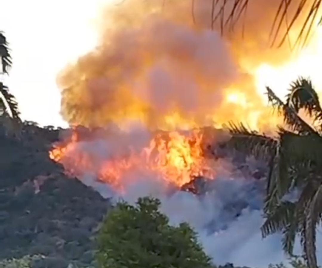 AO VIVO: incêndio na Chapada do Araripe já dura quase 24 horas e brigadistas seguem tentando controlar as chamas