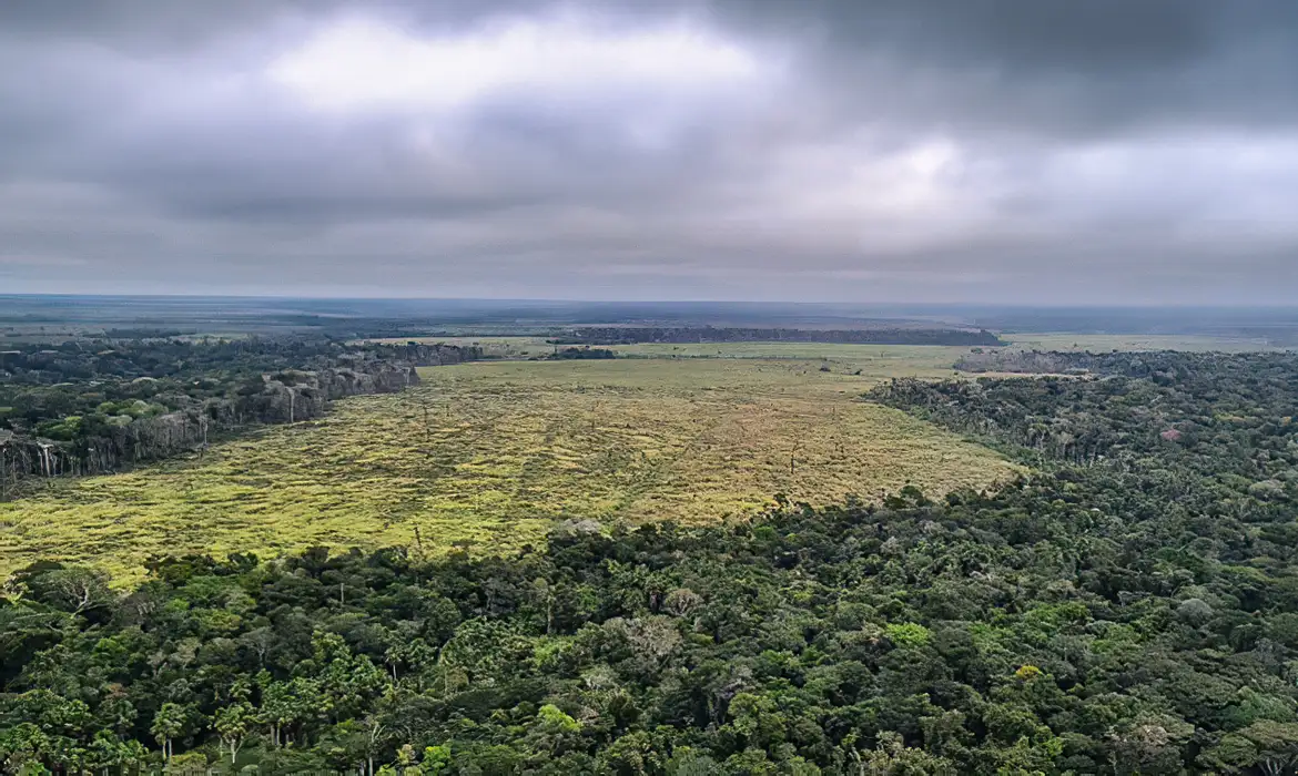 Degradação de florestas na Amazônia bate recorde mensal em setembro