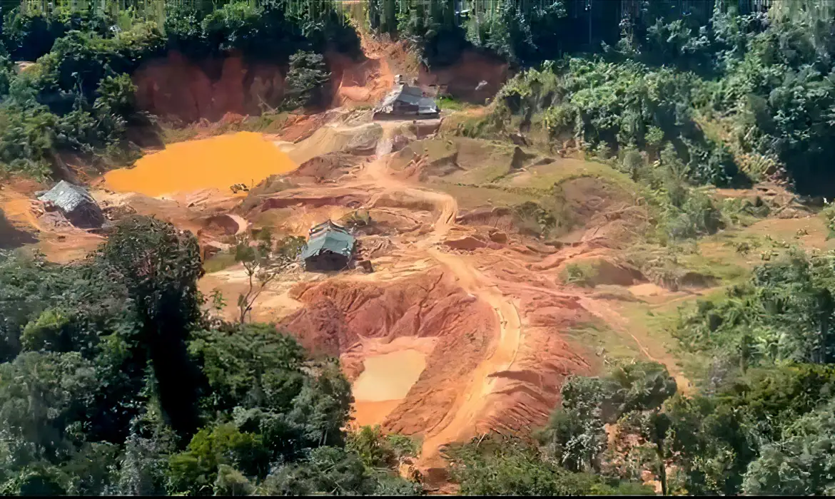 Crimes ambientais na Amazônia Legal aumentam 88%, aponta PRF