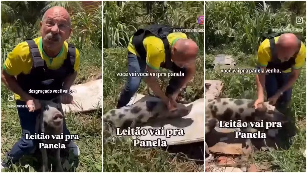 Vereador de Fortaleza é multado por maus-tratos a animais após vídeo em que agride um porco