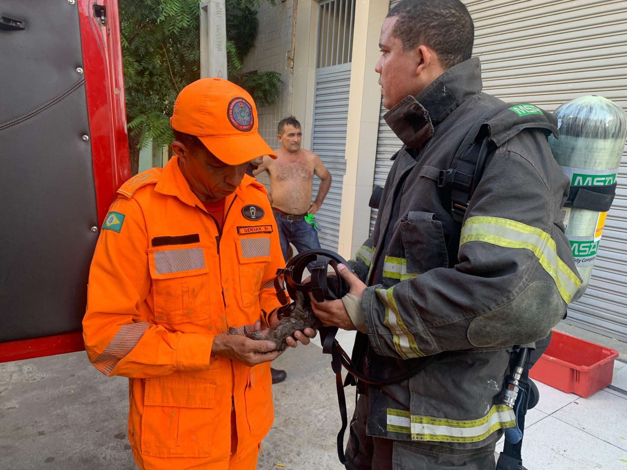 Bombeiros resgatam filhote de cachorro durante incêndio residencial em Canindé