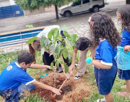 Parque das Timbaúbas recebe o movimento regenerativo “Tempo de Plantar” no próximo domingo