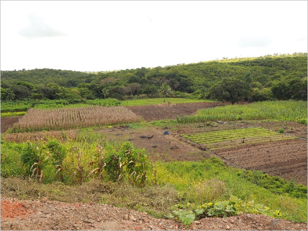 Chamamento para o Programa de Aração de Terras de Juazeiro do Norte recebe propostas até 6 de dezembro