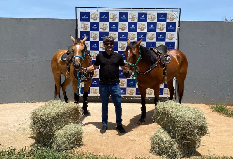 Animais cuidados por Dalton Peixoto e pelo Haras DS passam por preparação para competições nacionais de vaquejada