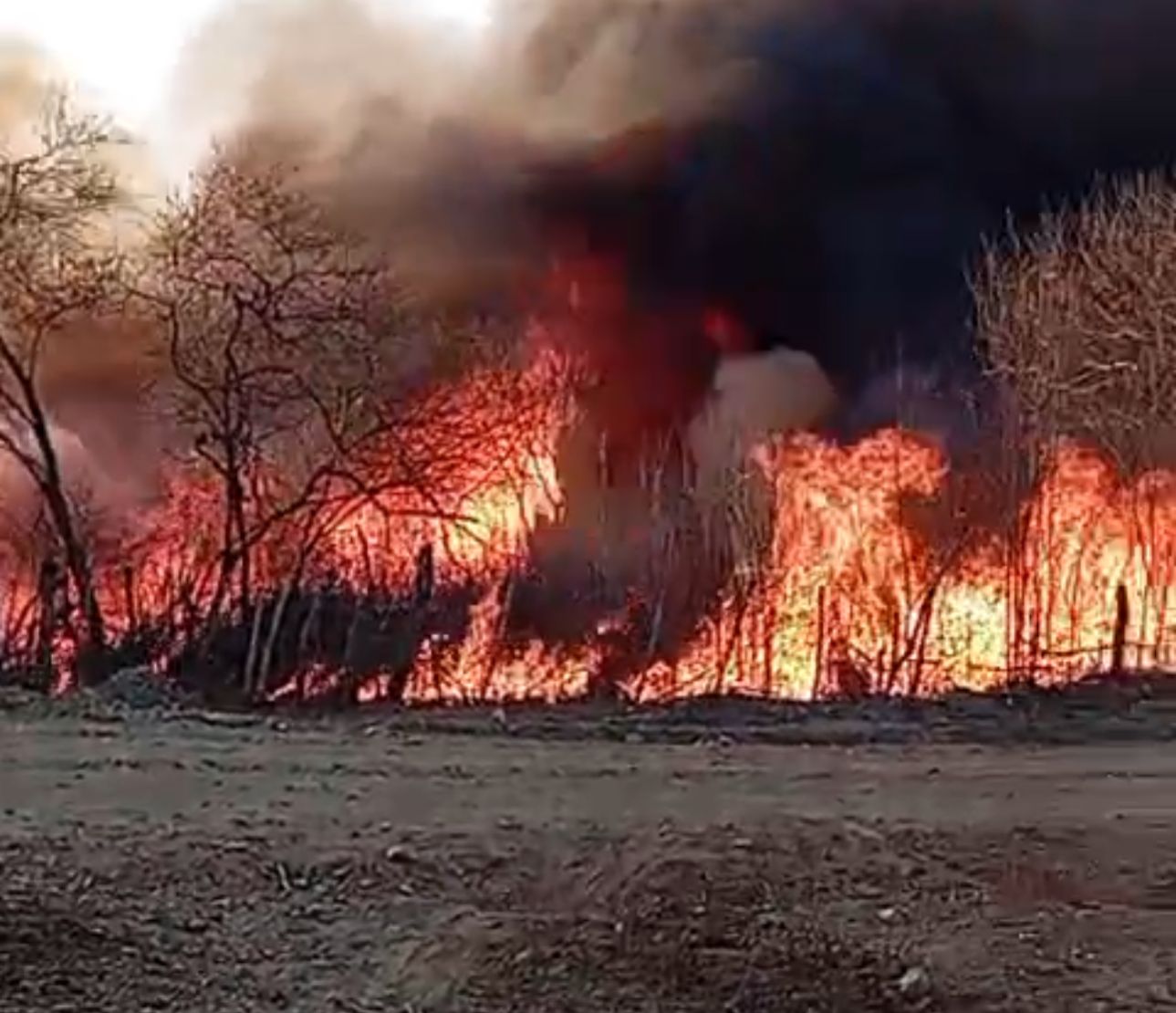 MP do Ceará instaura procedimento para apurar responsabilidade civil e ambiental de incêndios na zona rural de Mauriti