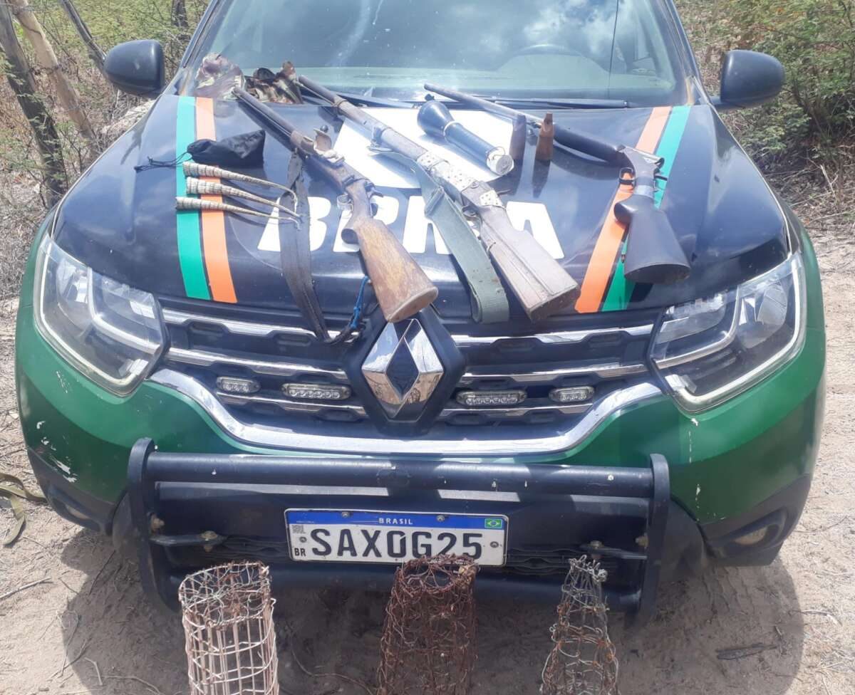 Polícia resgata 20 galos e apreende três armas em rinha na cidade de Milagres