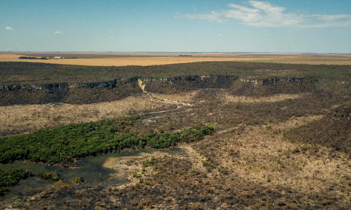 Após cinco anos de aumento, desmatamento no Cerrado tem queda