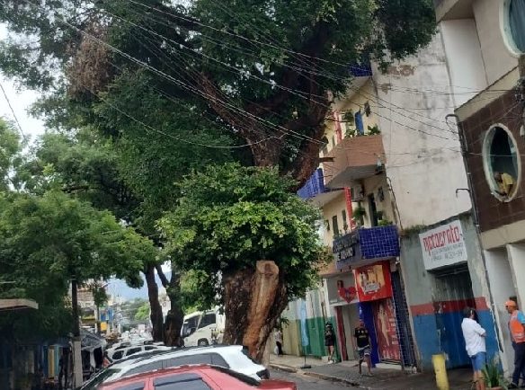 Rua Senador Pompeu, em Crato, será bloqueada para poda de árvore neste sábado